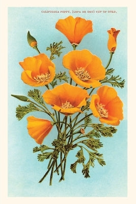 The Vintage Journal California Poppies by Found Image Press