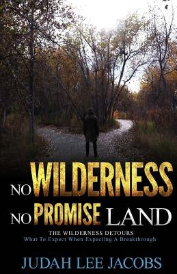 The Wilderness Detours by Jacobs, Judah Lee