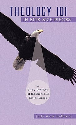 Theology 101 in Bite-Size Pieces: A Bird's Eye View of the Riches of Divine Grace by LeBlanc, Judy Azar