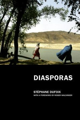 Diasporas by Dufoix, Stephane