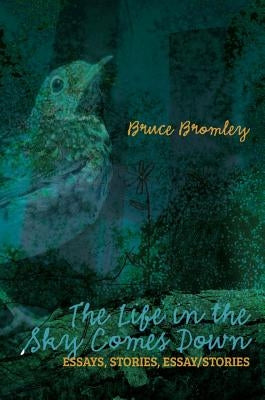 The Life in the Sky Comes Down: Essays, Stories, Essay/Story by Bromley, Bruce D.