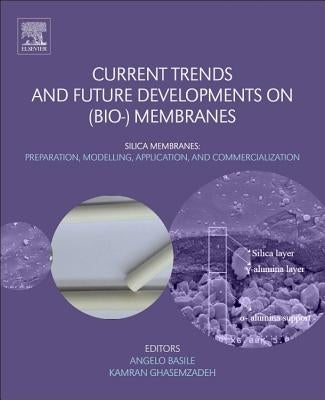 Current Trends and Future Developments on (Bio-) Membranes: Silica Membranes: Preparation, Modelling, Application, and Commercialization by Basile, Angelo