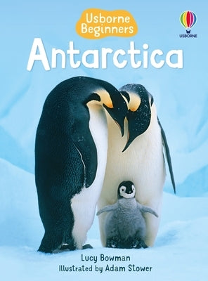 Antarctica by Bowman, Lucy