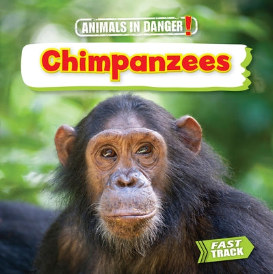 Chimpanzees by Dickmann, Nancy