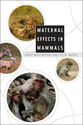 Maternal Effects in Mammals by Maestripieri, Dario