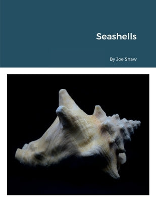Seashells by Shaw, Joe