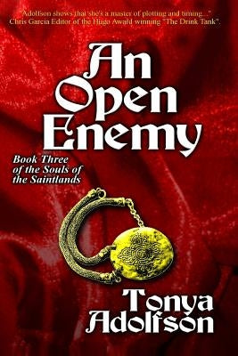 An Open Enemy by Adolfson, Tonya