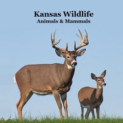 Kansas Animals and Mammals Kids Wildlife Book: Great Kansas Animals book with Lifelike Images and Fun Facts by Marie, Kinsey