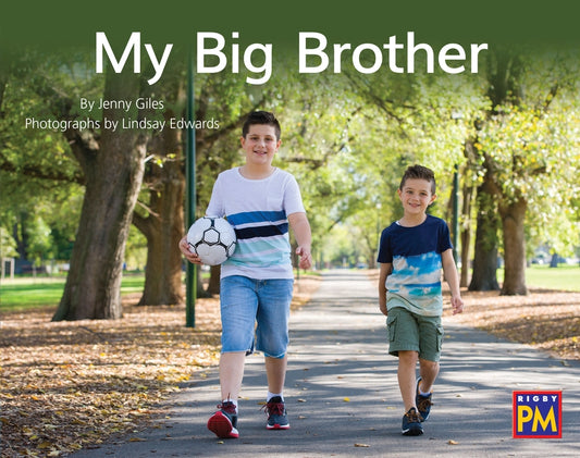 My Big Brother: Leveled Reader Yellow Non Fiction Level 8/9 Grade 1 by Hmh, Hmh