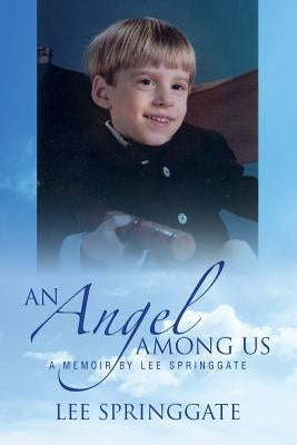 An Angel Among Us by Springgate, Lee