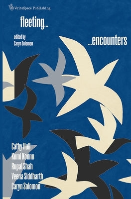 Fleeting Encounters by Solomon, Caryn
