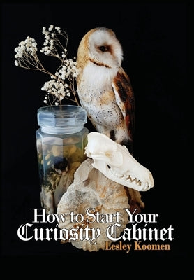 How to Start Your Curiosity Cabinet by Koomen, Lesley