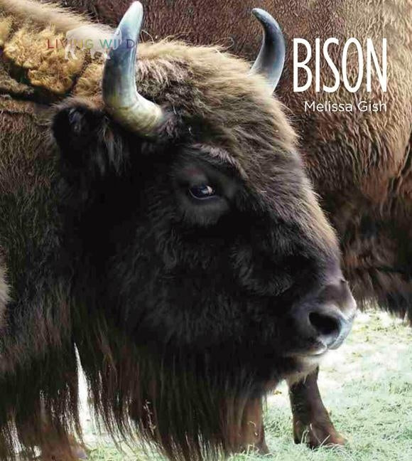 Living Wild: Bison by Gish, Melissa