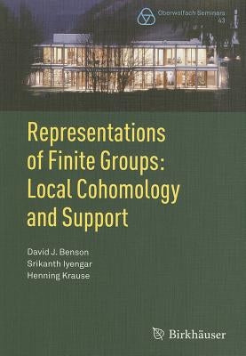 Representations of Finite Groups: Local Cohomology and Support by Benson, David J.