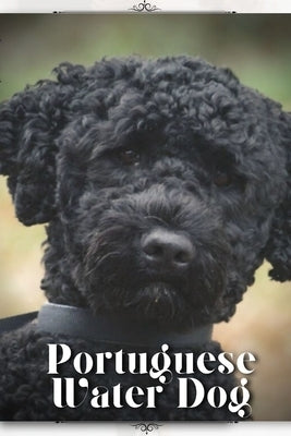 Portuguese Water Dog: Dog breed overview and guide by Pustova, Nina