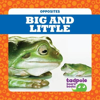 Big and Little by Donner, Erica