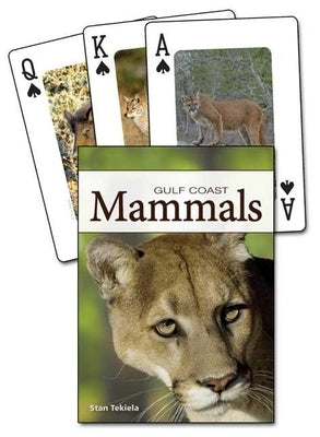 Mammals of the Gulf Coast by Tekiela, Stan