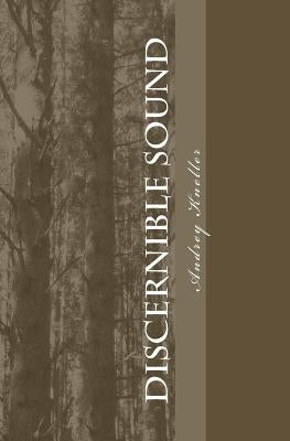 Discernible Sound by Kneller, Andrey