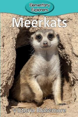 Meerkats by Blakemore, Victoria