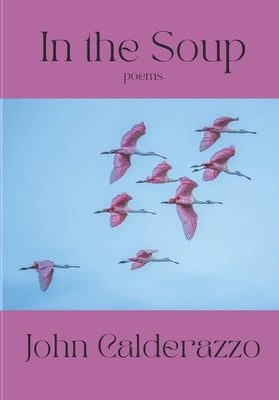 In The Soup by Calderazzo, John