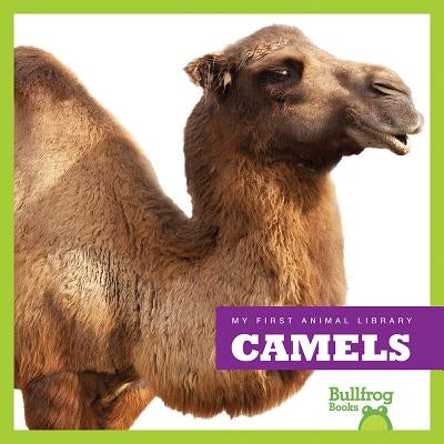 Camels by Schuh, Mari C.