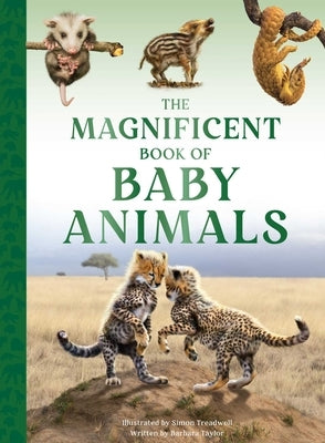 The Magnificent Book of Baby Animals by Taylor, Barbara