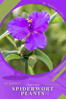 Spiderwort Plants: Plant Guide by Lalko, Andrey