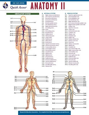 Anatomy II by Editors of Rea
