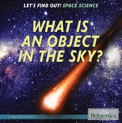 What Is an Object in the Sky? by Poolos, Christine