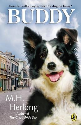 Buddy by Herlong, M. H.