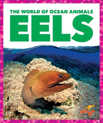 Eels by Schuh, Mari C.