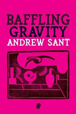Baffling Gravity by Sant, Andrew