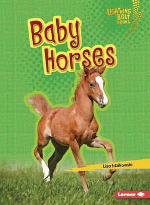 Baby Horses by Idzikowski, Lisa