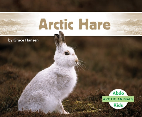 Arctic Hare by Hansen, Grace