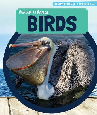 Really Strange Birds by Levy, Janey