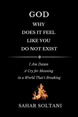 God, Why Does It Feel Like You Do Not Exist: I Am Dawn: A Cry for Meaning in a World That's Breaking by Soltani, Sahar