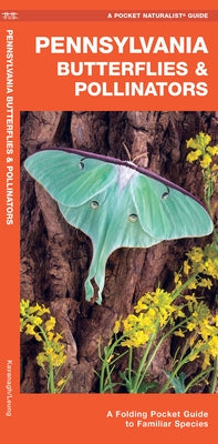 Pennsylvania Butterflies & Pollinators: A Folding Pocket Guide to Familiar Species by Kavanagh, James