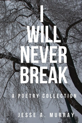 I Will Never Break by Murray, Jesse a.