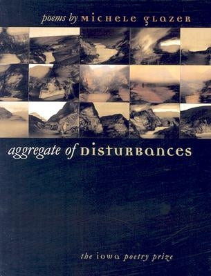 Aggregate of Disturbances by Glazer, Michele