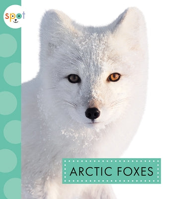 Arctic Foxes by Suen, Anastasia