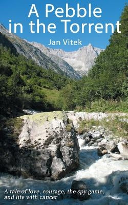 A Pebble in the Torrent by Vitek, Jan