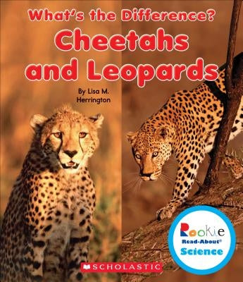 Cheetahs and Leopards by Herrington, Lisa M.
