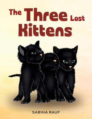 The Three Lost Kittens by Rauf, Sabiha