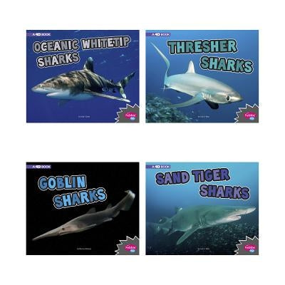 All about Sharks by Nuzzolo, Deborah