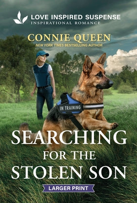 Searching for the Stolen Son by Queen, Connie