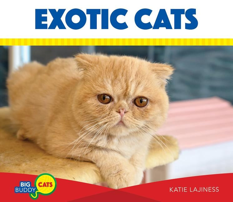 Exotic Cats by Lajiness, Katie