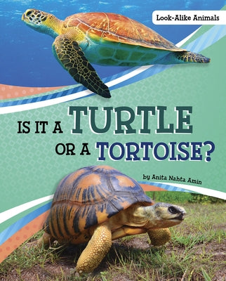 Is It a Turtle or a Tortoise? by Amin, Anita Nahta