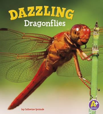 Dazzling Dragonflies by Ipcizade, Catherine