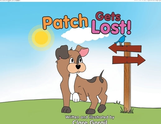 Patch Gets Lost! by Gorail, Clare