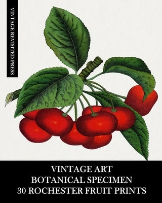 Vintage Art: Botanical Specimen: 30 Rochester Fruit Prints: Pomology Ephemera for Framing, Decor and Reference by Press, Vintage Revisited